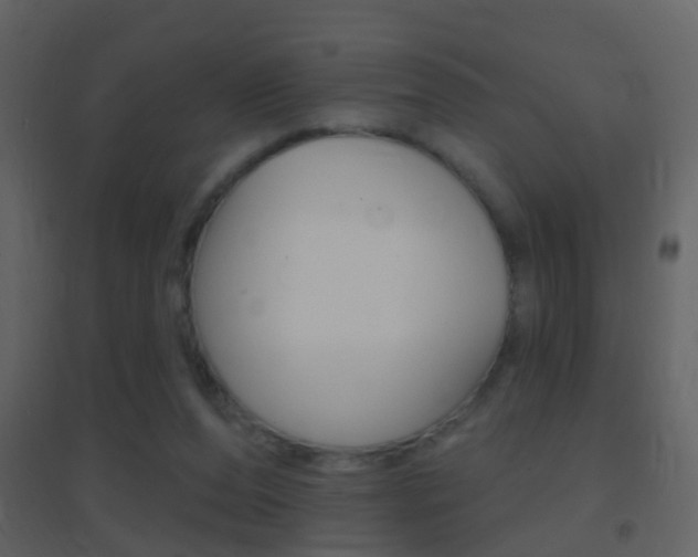 X0000095530208200712140942