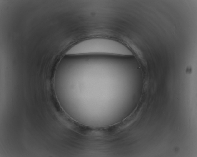 X0000095530209200712140942