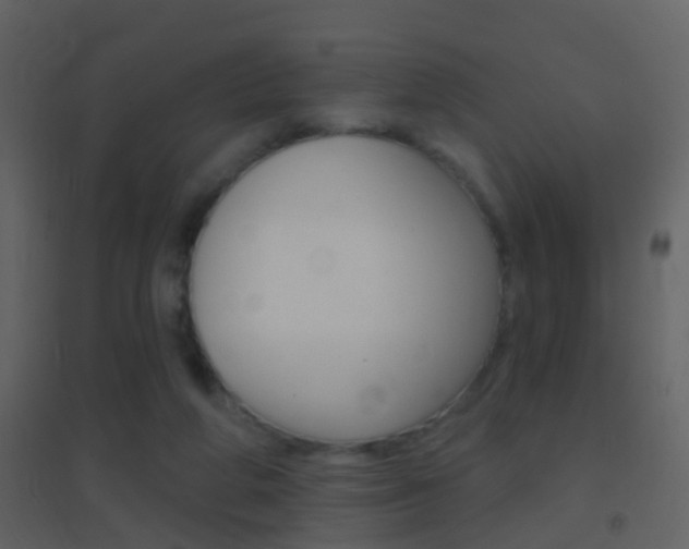 X0000095530210200712140942