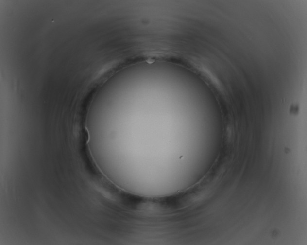 X0000095530211200712140942
