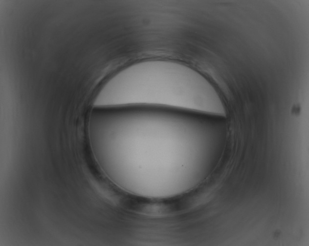 X0000095530212200712140942