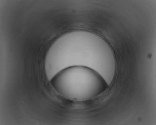 X0000095530215200712140942