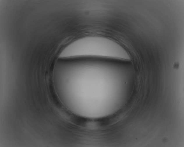 X0000095530216200712140942