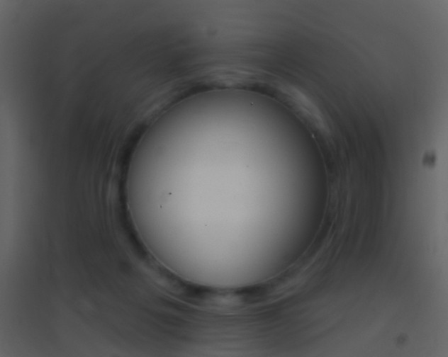 X0000095530217200712140942