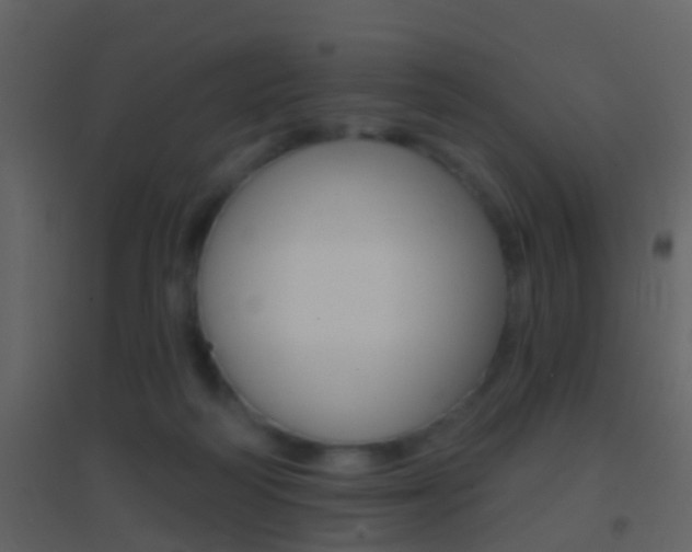 X0000095530218200712140942