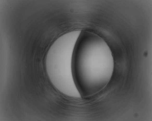 X0000095530221200712140942