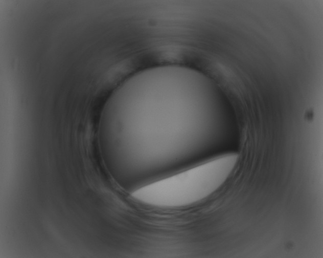 X0000095530223200712140942