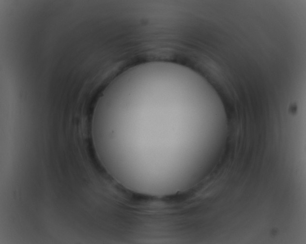 X0000095530224200712140942