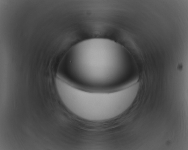 X0000095530225200712140941