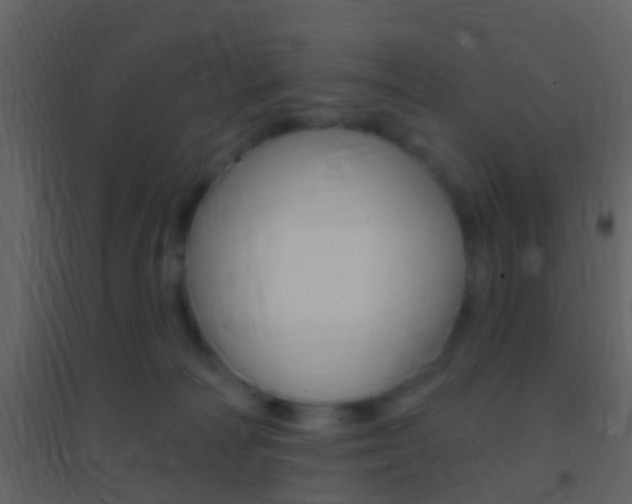 X0000095530226200712140941