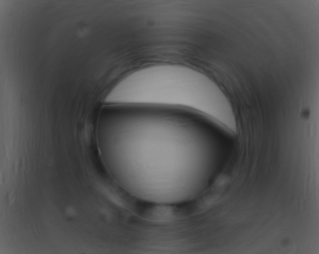 X0000095530227200712140941