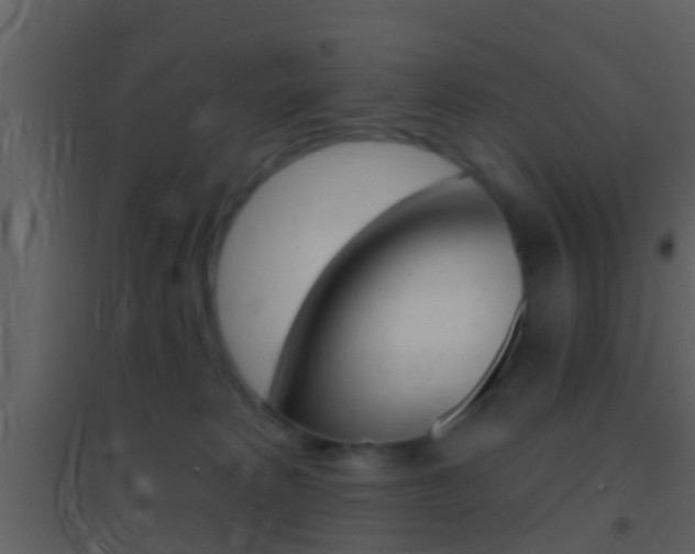 X0000095530229200712140941
