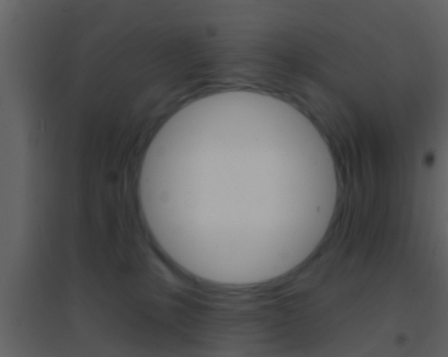 X0000095530231200712140941
