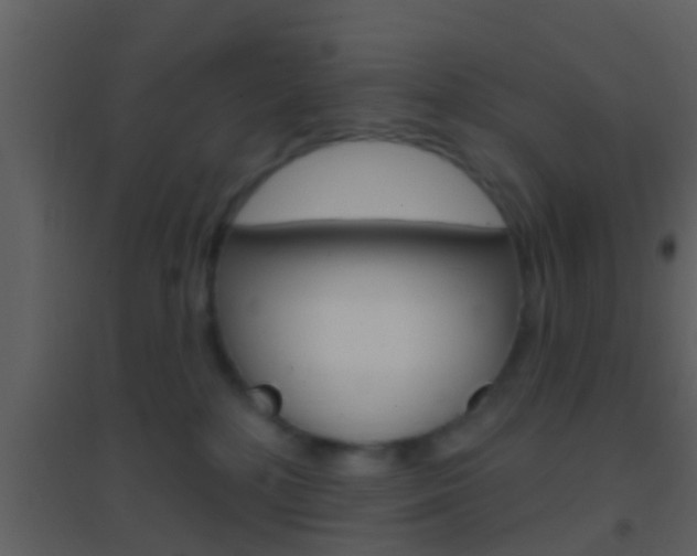 X0000095530232200712140941