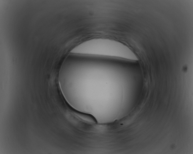 X0000095530233200712140941