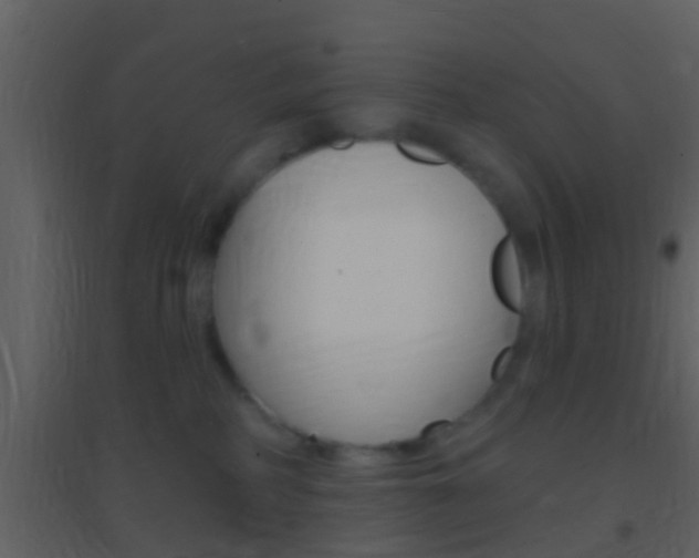 X0000095530234200712140941