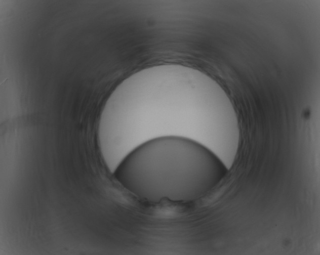 X0000095530235200712140941