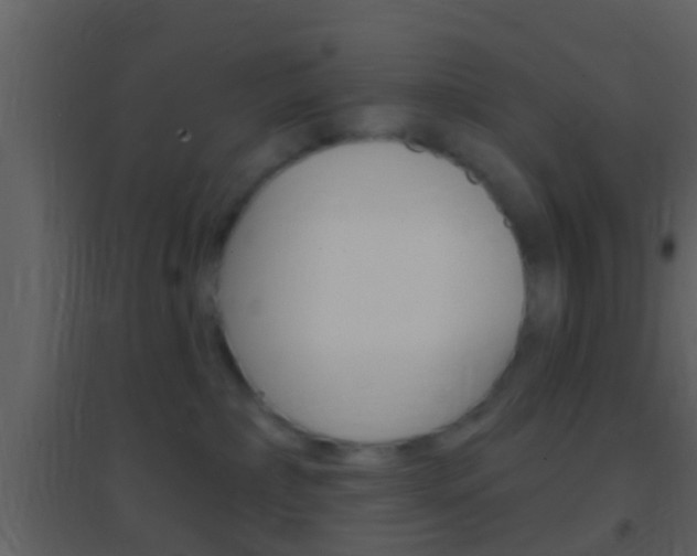 X0000095530236200712140941