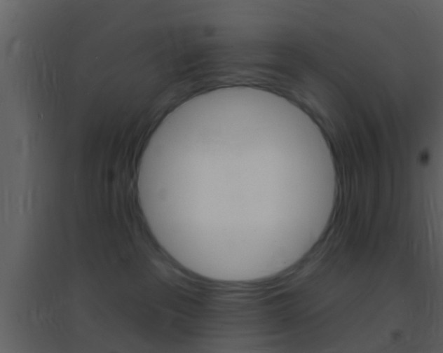 X0000095530237200712140941
