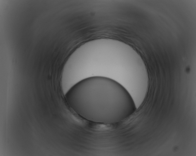 X0000095530239200712140941