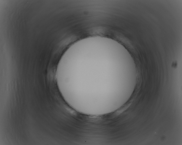 X0000095530240200712140941