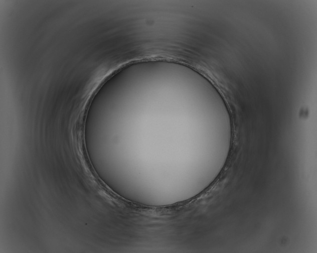 X0000095530241200712140941