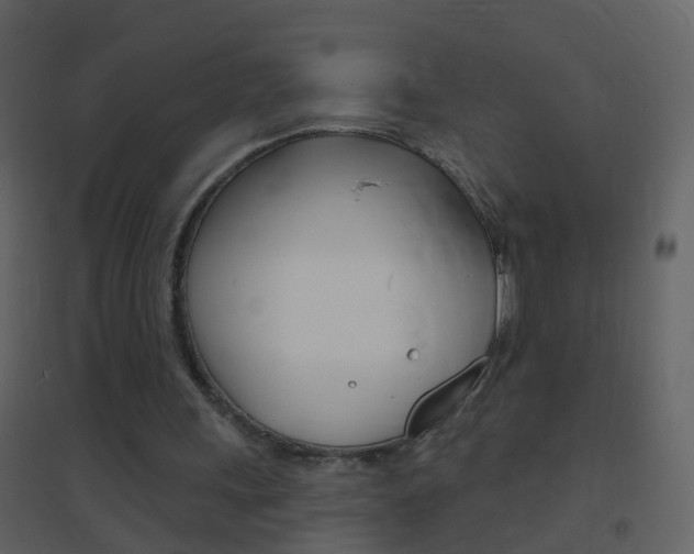 X0000095530243200712140941