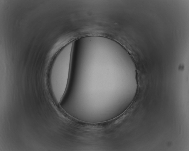 X0000095530245200712140941