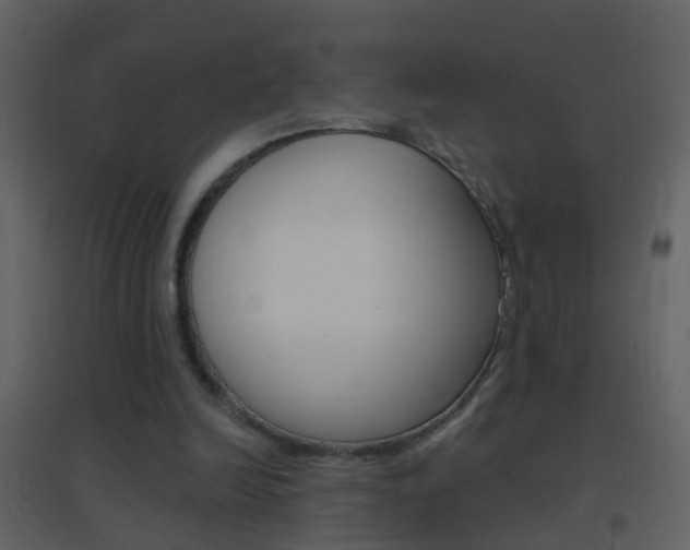 X0000095530246200712140941