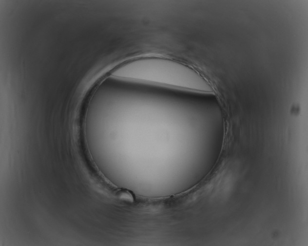 X0000095530247200712140941