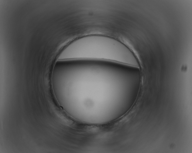 X0000095530249200712140941