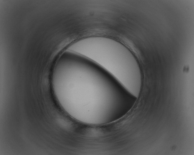 X0000095530250200712140941