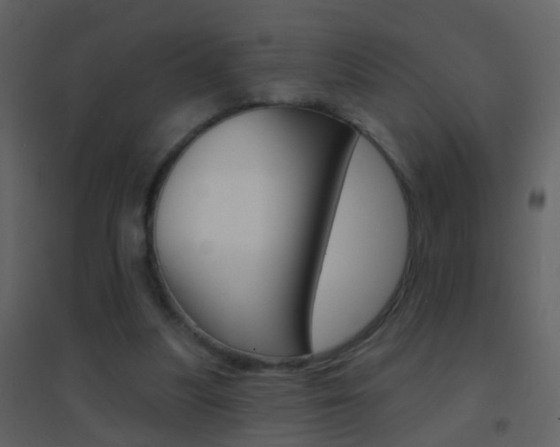 X0000095530251200712140941