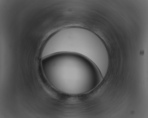 X0000095530252200712140941