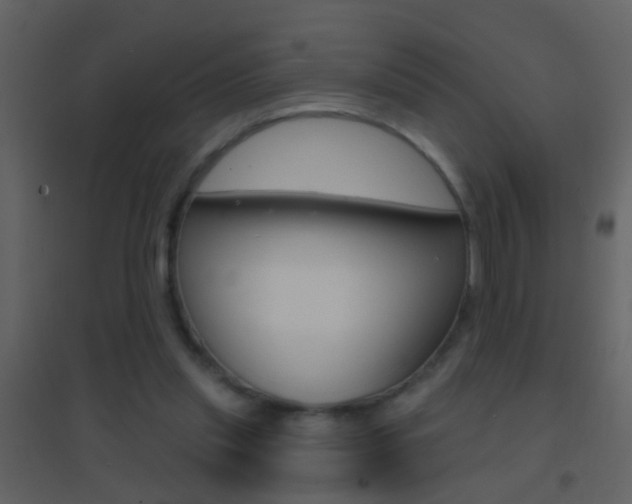 X0000095530253200712140941