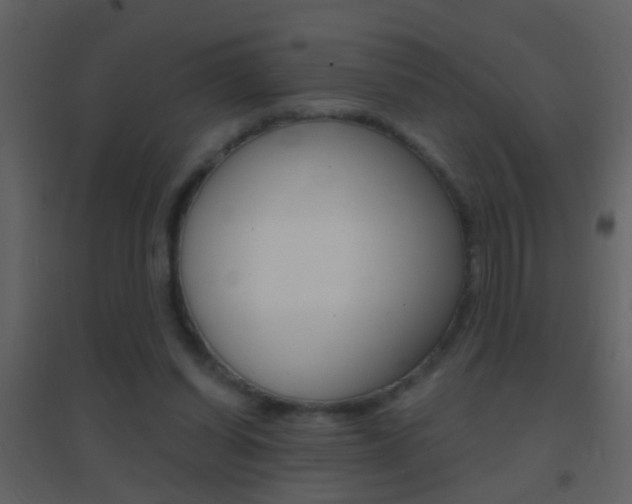 X0000095530254200712140941