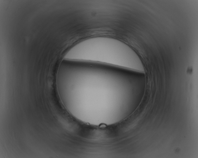 X0000095530255200712140941
