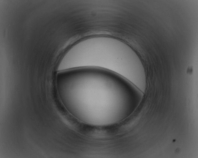 X0000095530256200712140941