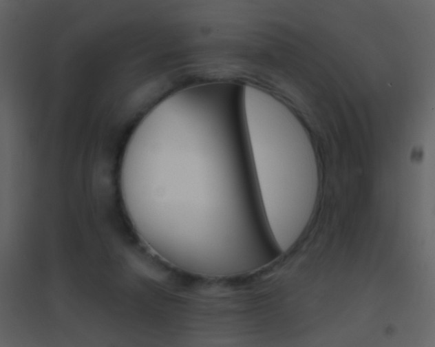 X0000095530258200712140941