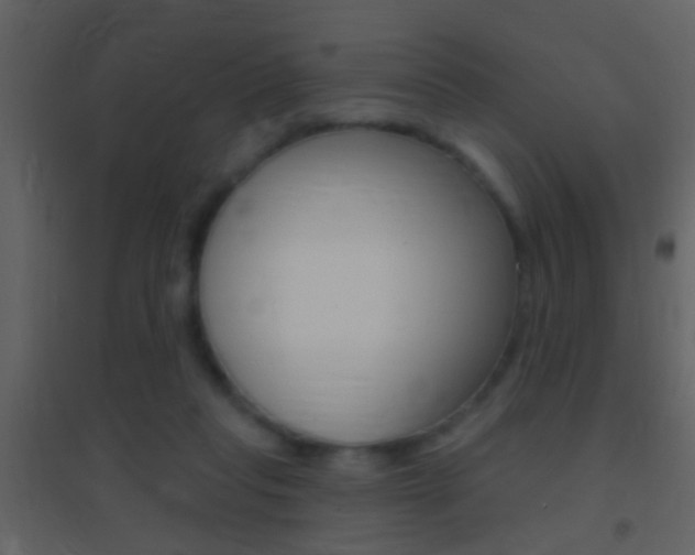 X0000095530261200712140941