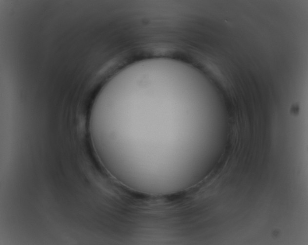 X0000095530262200712140941