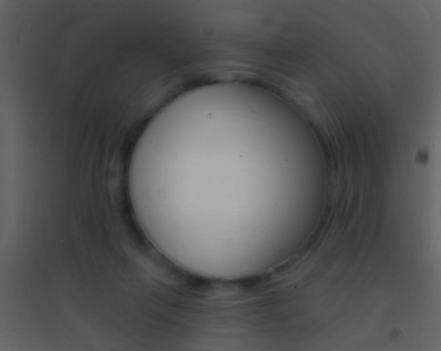 X0000095530263200712140941