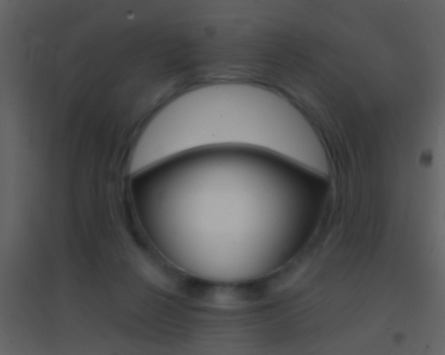 X0000095530264200712140941
