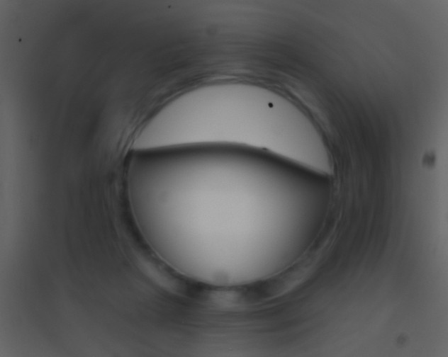 X0000095530265200712140941