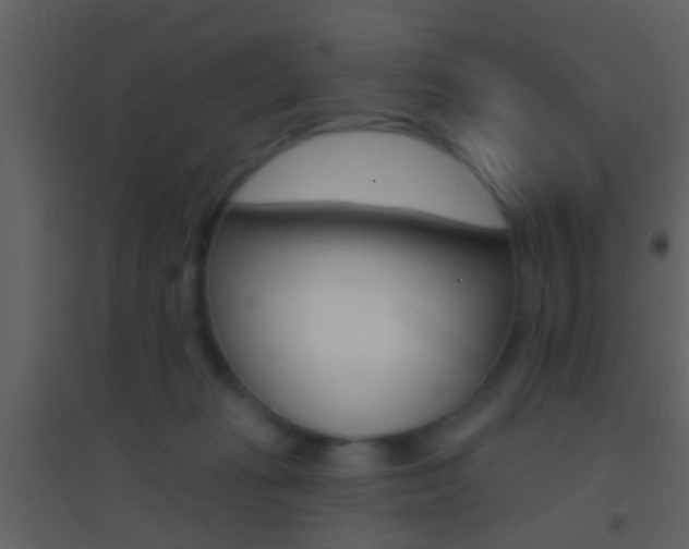 X0000095530269200712140941