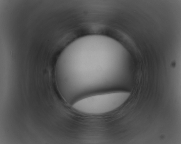 X0000095530270200712140941