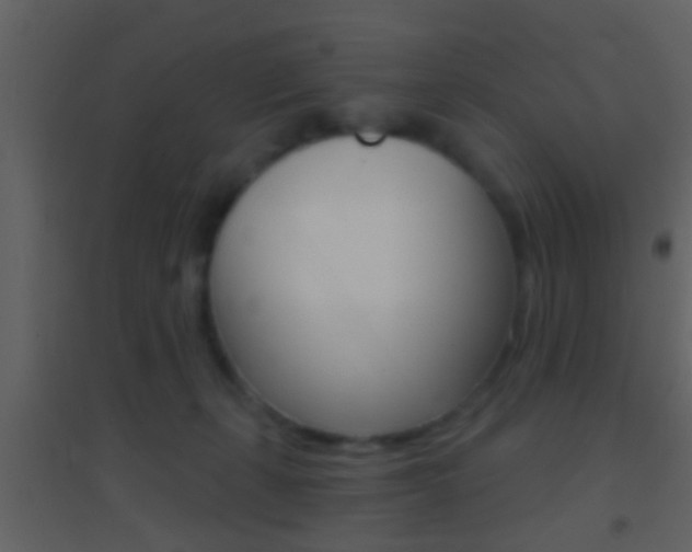 X0000095530271200712140941