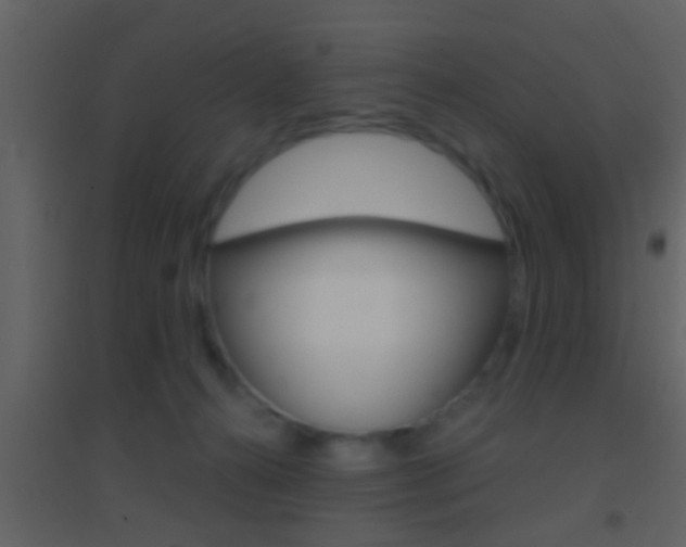 X0000095530272200712140941