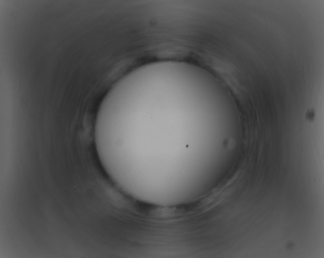 X0000095530273200712140941