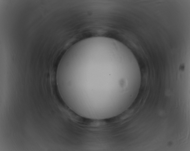X0000095530274200712140941